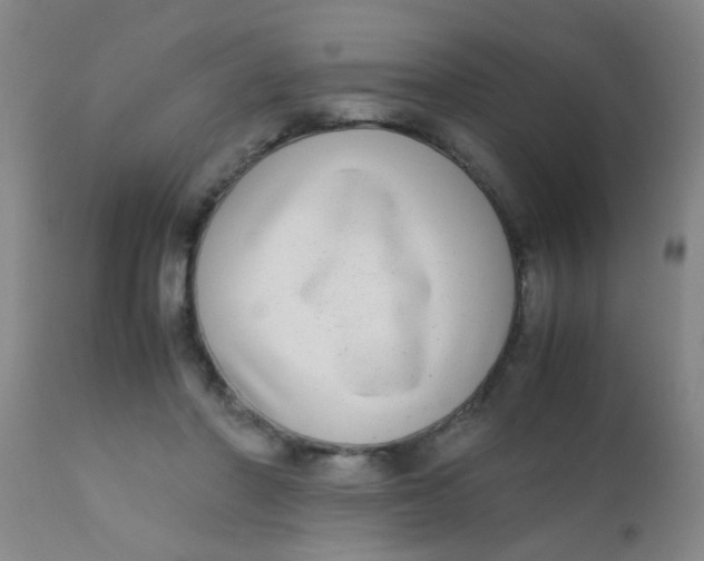 X0000110730406200907022114