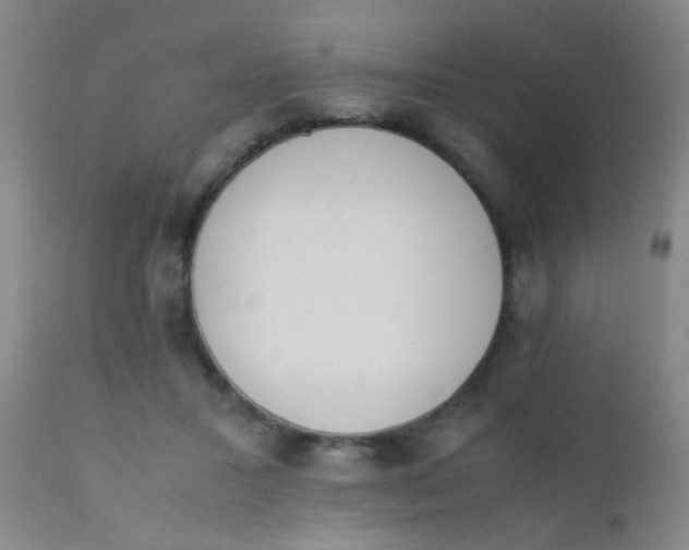 X0000110730407200907022114