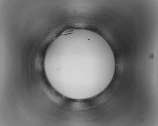 X0000110730408200907022114