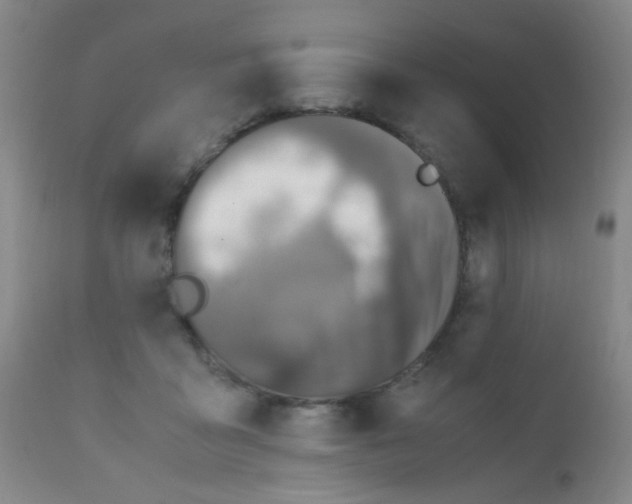 X0000110730411200907022114