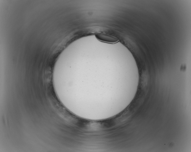 X0000110730413200907022114