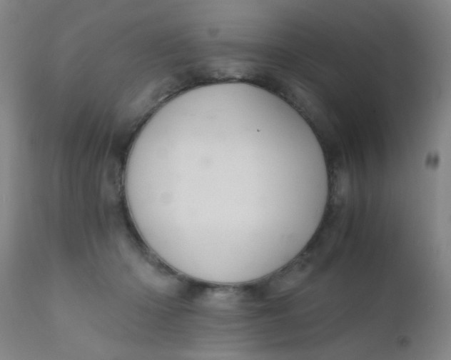 X0000110730414200907022114