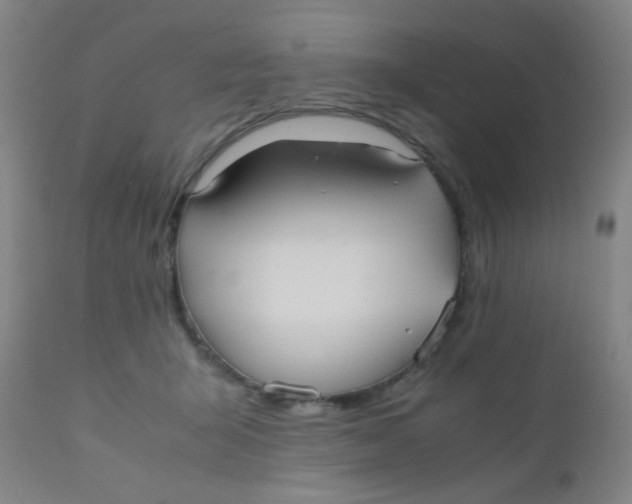 X0000110730415200907022114