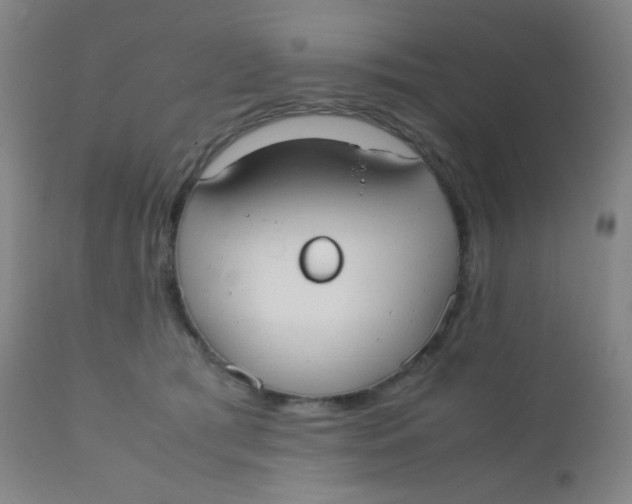 X0000110730417200907022114