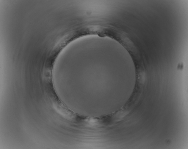 X0000110730419200907022114