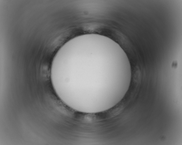 X0000110730420200907022114