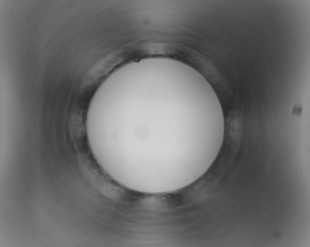 X0000110730422200907022114