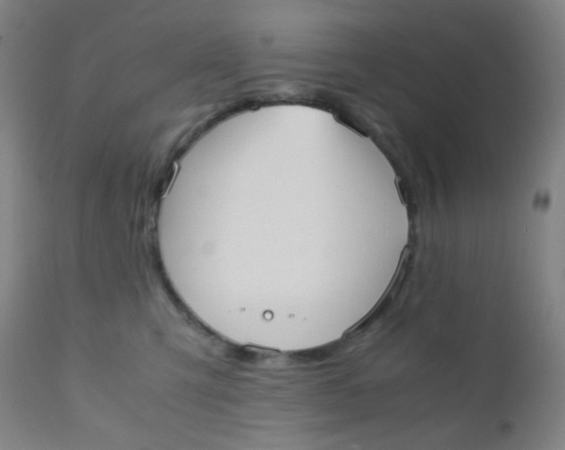 X0000110730423200907022114