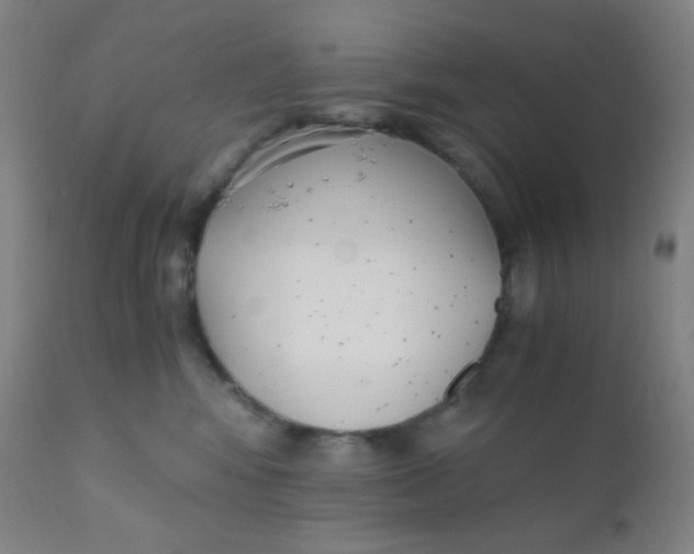 X0000110730424200907022114