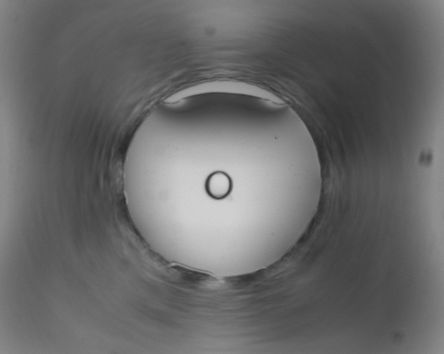 X0000110730425200907022114