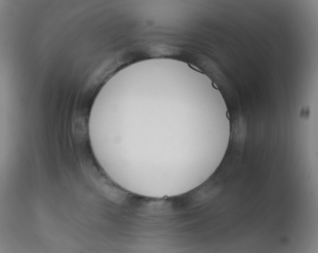 X0000110730426200907022114