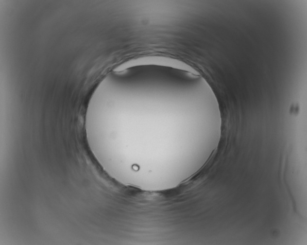 X0000110730427200907022114