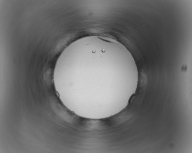 X0000110730428200907022114