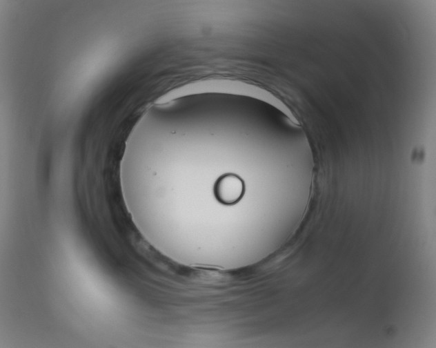 X0000110730429200907022114