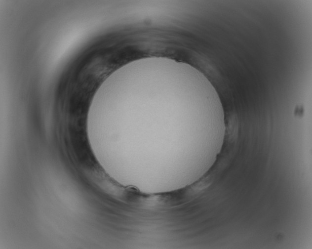 X0000110730430200907022114