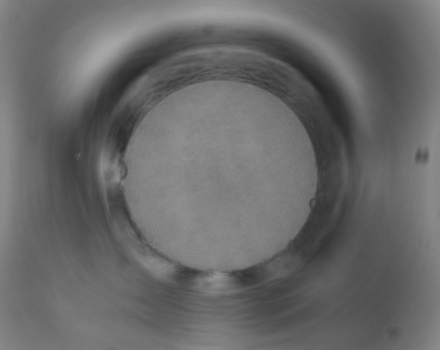 X0000110730431200907022114