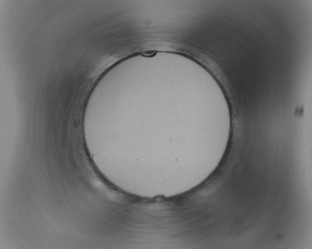 X0000110730433200907022113