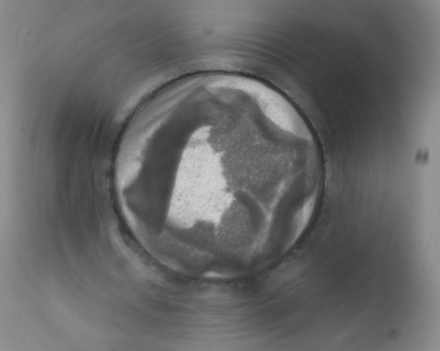 X0000110730434200907022113