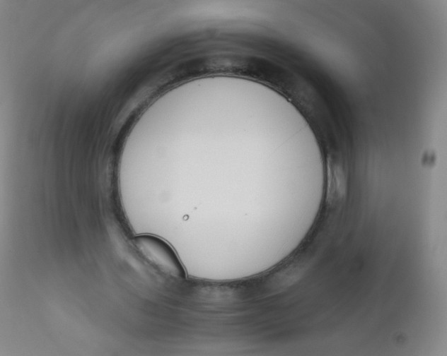 X0000110730435200907022114