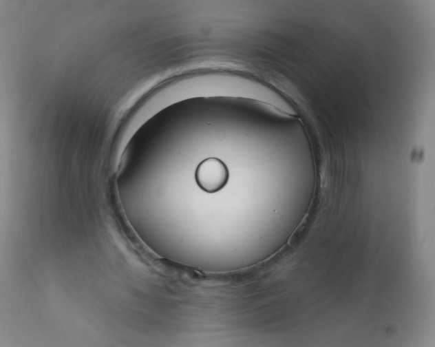 X0000110730436200907022114