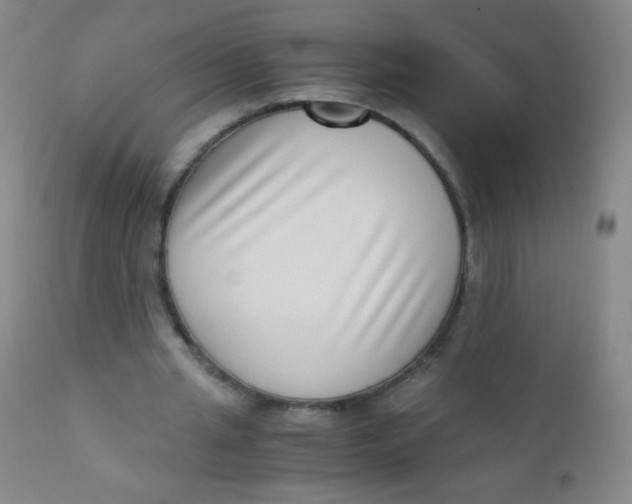 X0000110730437200907022114