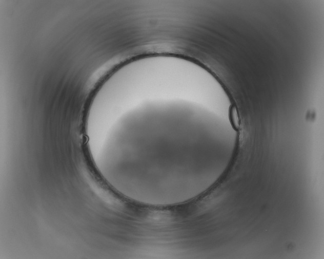 X0000110730438200907022114