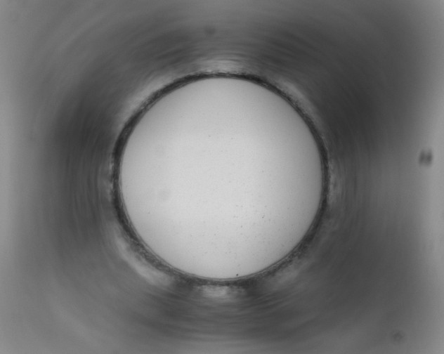 X0000110730439200907022114