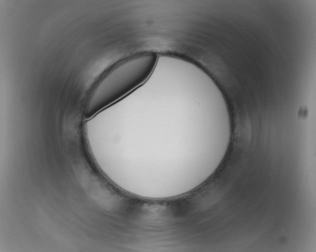 X0000110730440200907022114