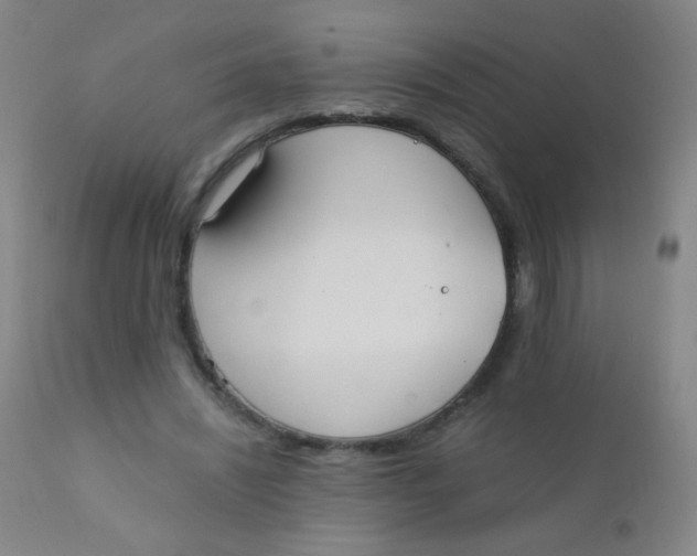 X0000110730444200907022114