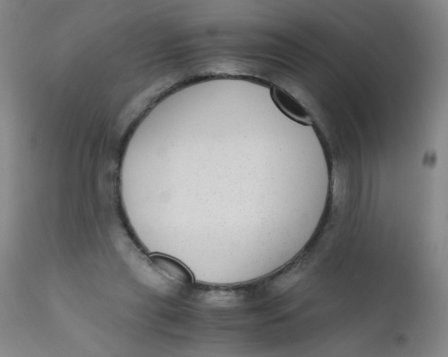 X0000110730445200907022114