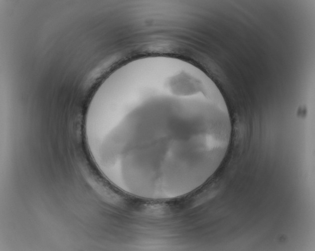 X0000110730446200907022114