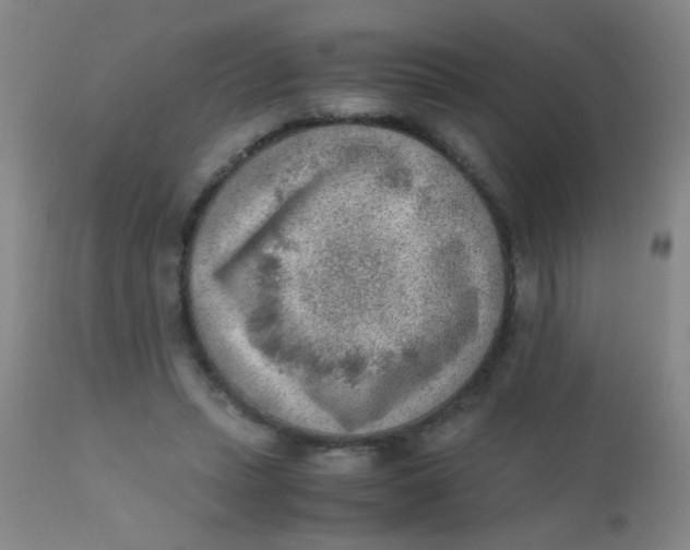 X0000110730447200907022114