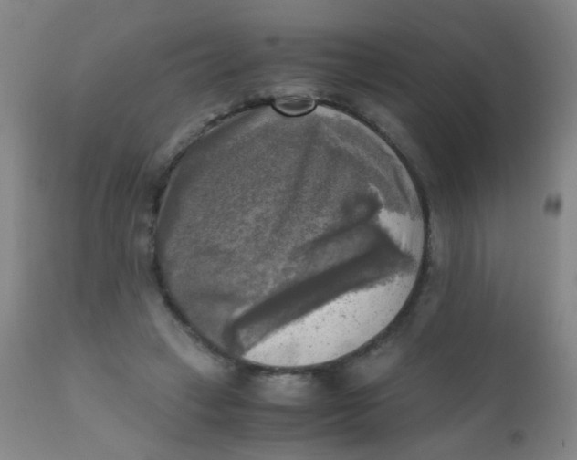 X0000110730449200907022114