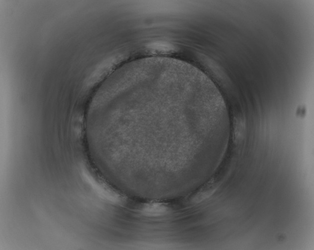 X0000110730451200907022114