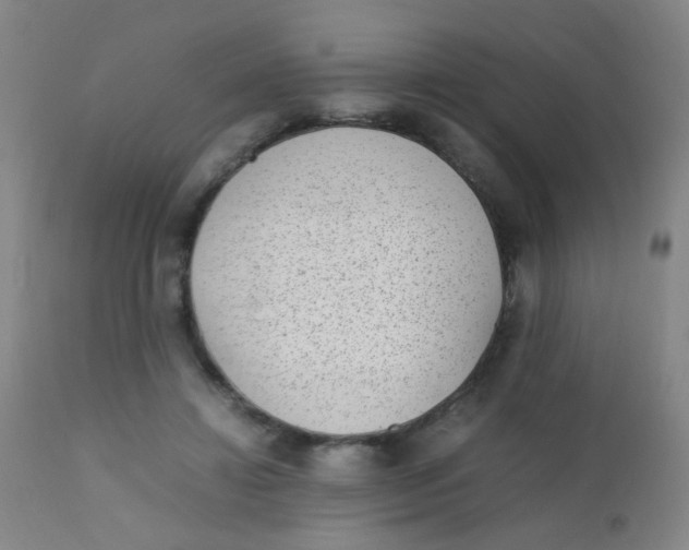 X0000110730452200907022114