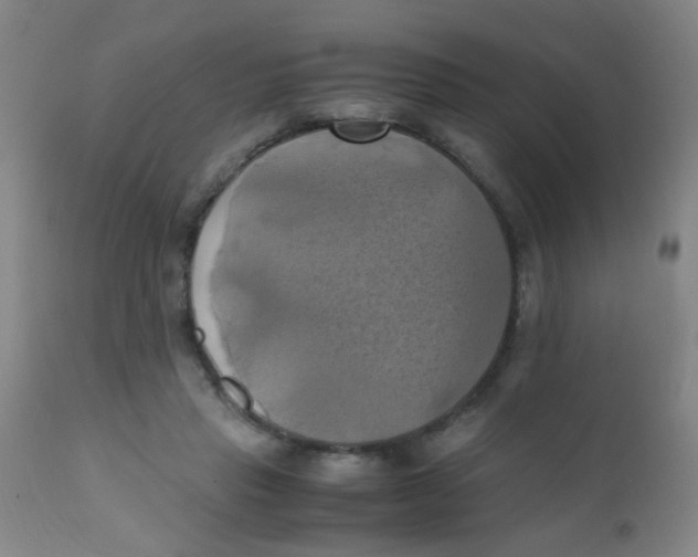 X0000110730453200907022114