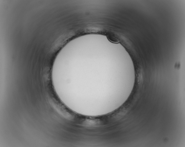 X0000110730455200907022114