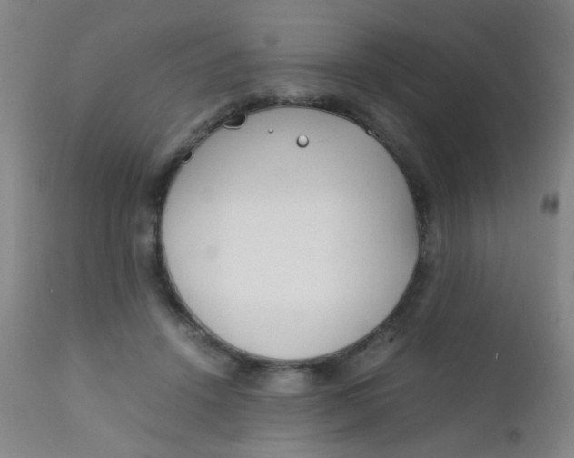 X0000110730456200907022114