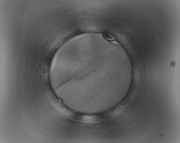 X0000110730457200907022114