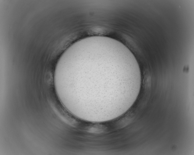 X0000110730459200907022114