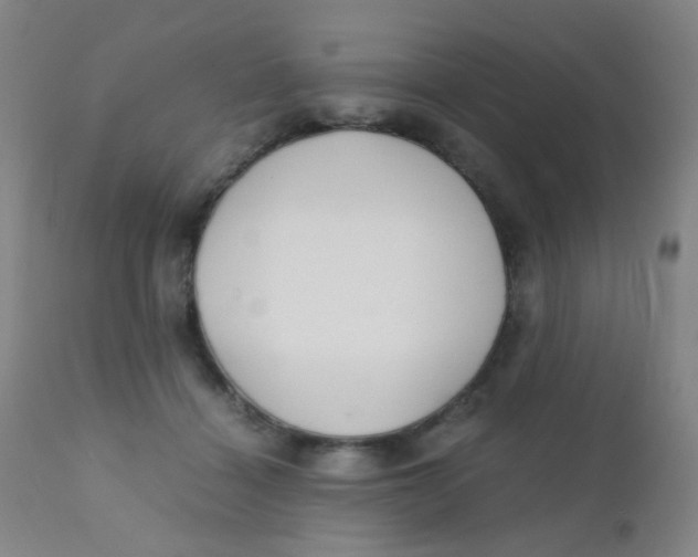 X0000110730460200907022114