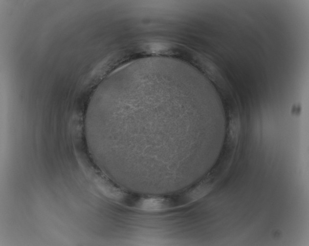 X0000110730461200907022114