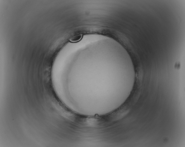 X0000110730462200907022114