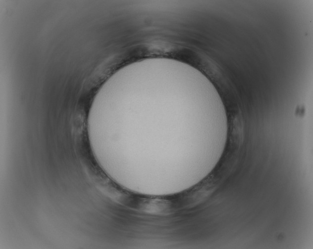 X0000110730463200907022114