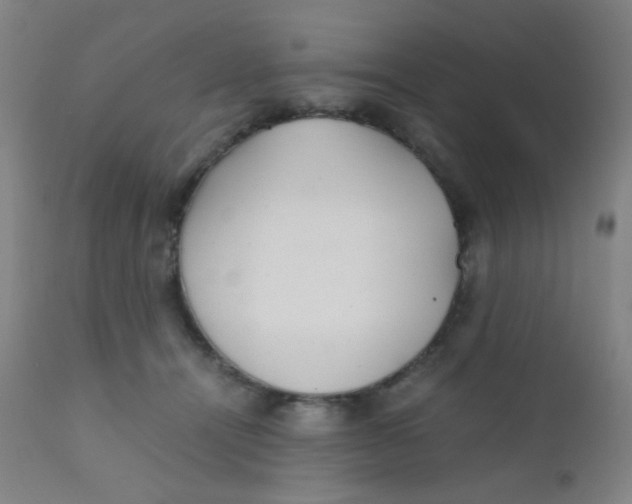 X0000110730464200907022114