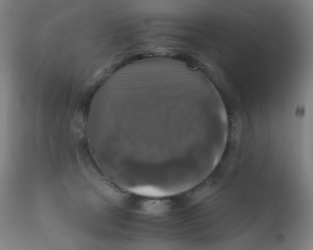 X0000110730465200907022114