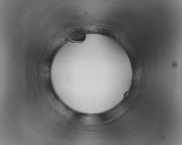 X0000110730466200907022114