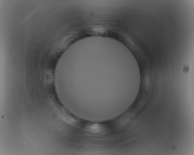 X0000110730467200907022114