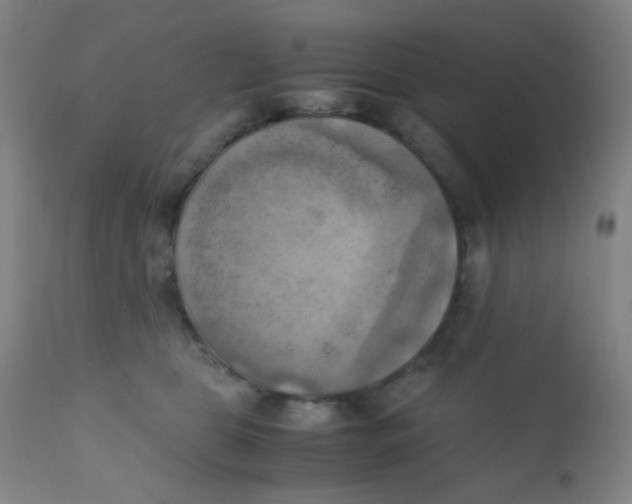 X0000110730469200907022114