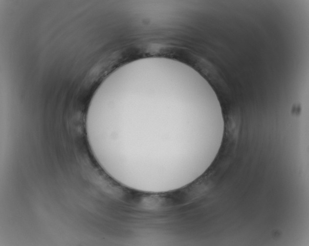 X0000110730470200907022114